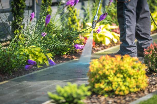 Best Gutter Cleaning  in Amelia, LA