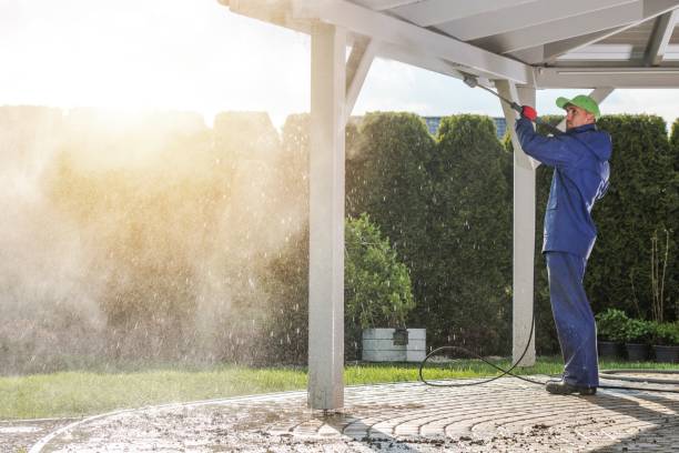Best Soft Washing  in Amelia, LA