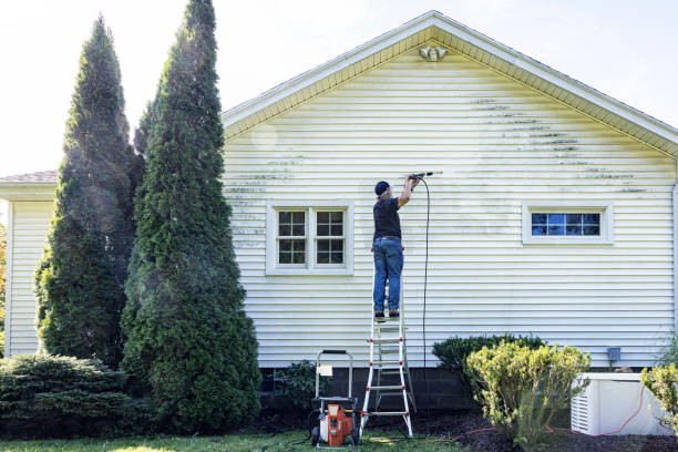 Best Dumpster Area Cleaning  in Amelia, LA